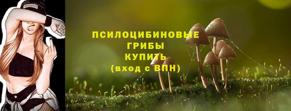 эйфоретик Дмитров