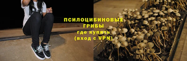 ешки Новокубанск