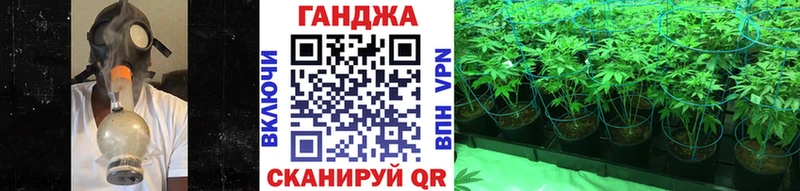 Шишки марихуана Amnesia  Новосокольники 